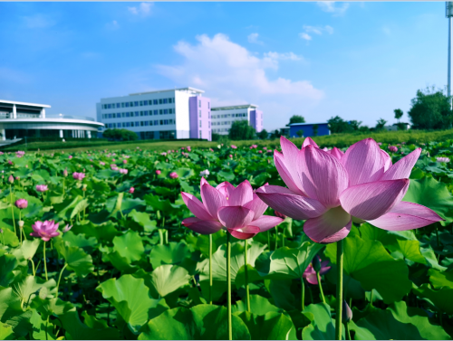 安莉芳：17年续写绿色环保篇章，引领“可持续时尚“