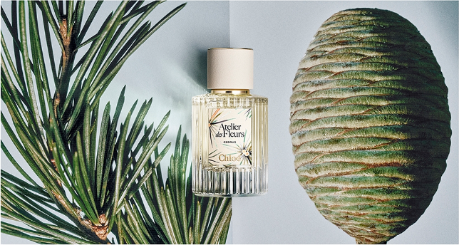 1758786365311051.png image.png